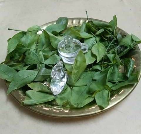 Bel Patra Offering Pack