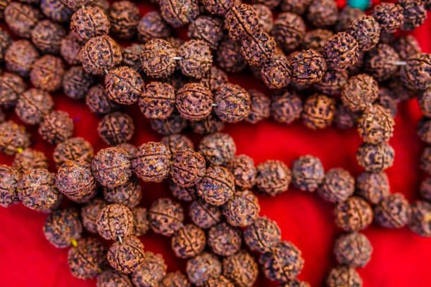 Rudraksha Mala 108 Beads